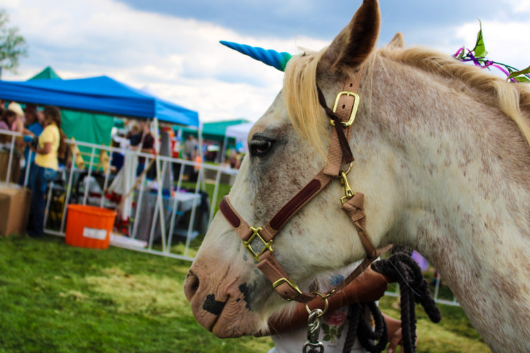 Colorado Unicorn Festival: Where Fantasy Meets Reality - IDK Mommy