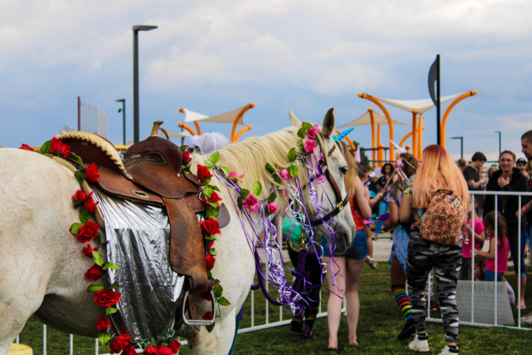 Colorado Unicorn Festival Where Fantasy Meets Reality IDK Mommy
