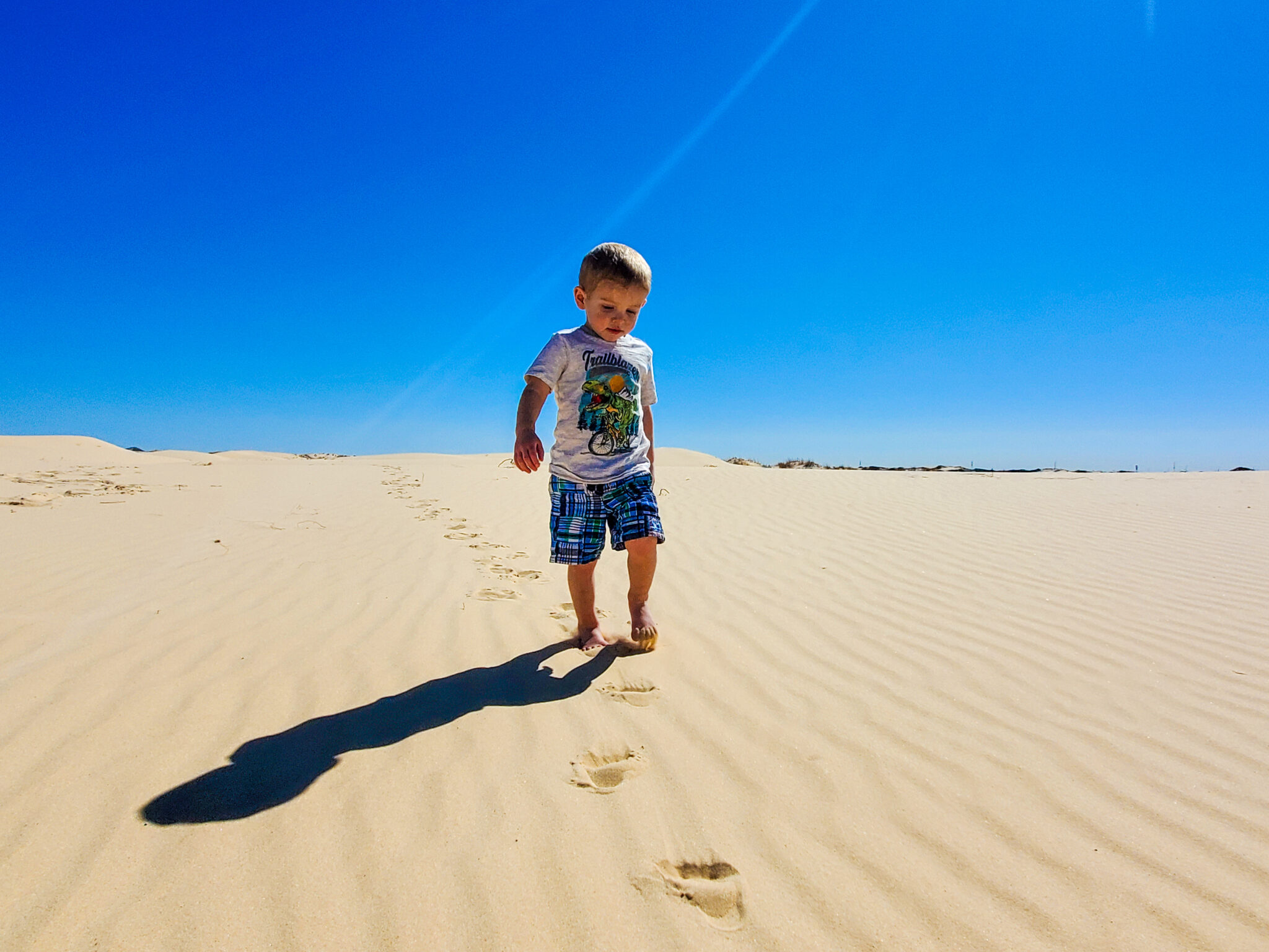 Exploring The Enchanting West Texas Dunes of Monahans Sandhill State ...