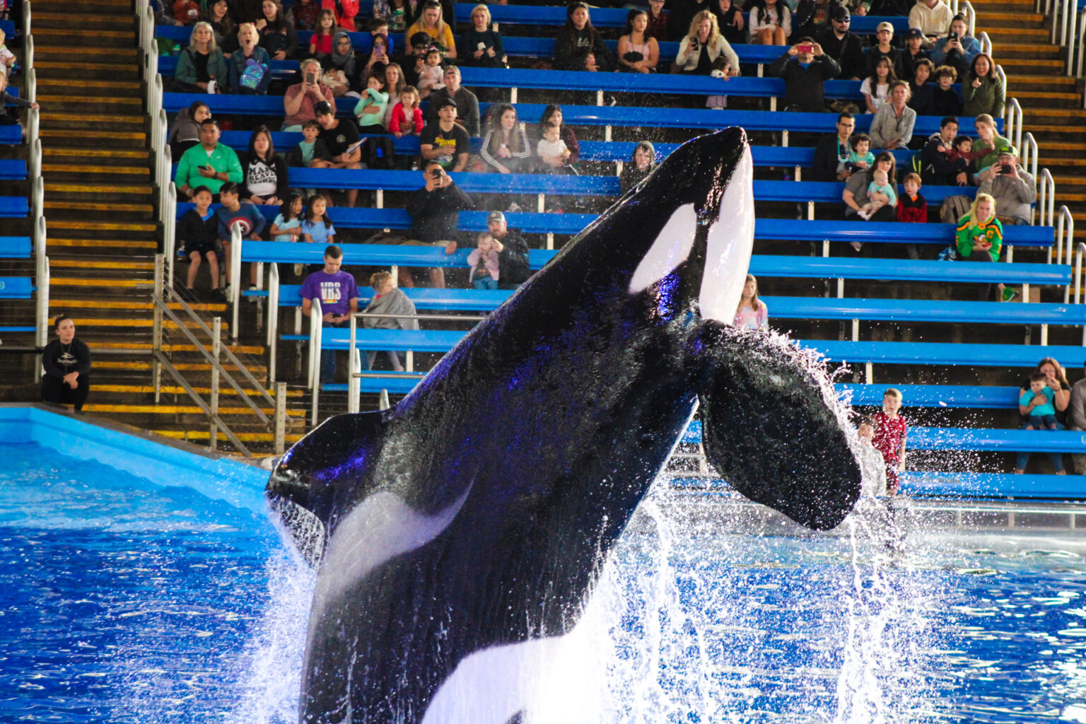 18 Tips For Making Your Visit To SeaWorld San Antonio With Toddlers So
