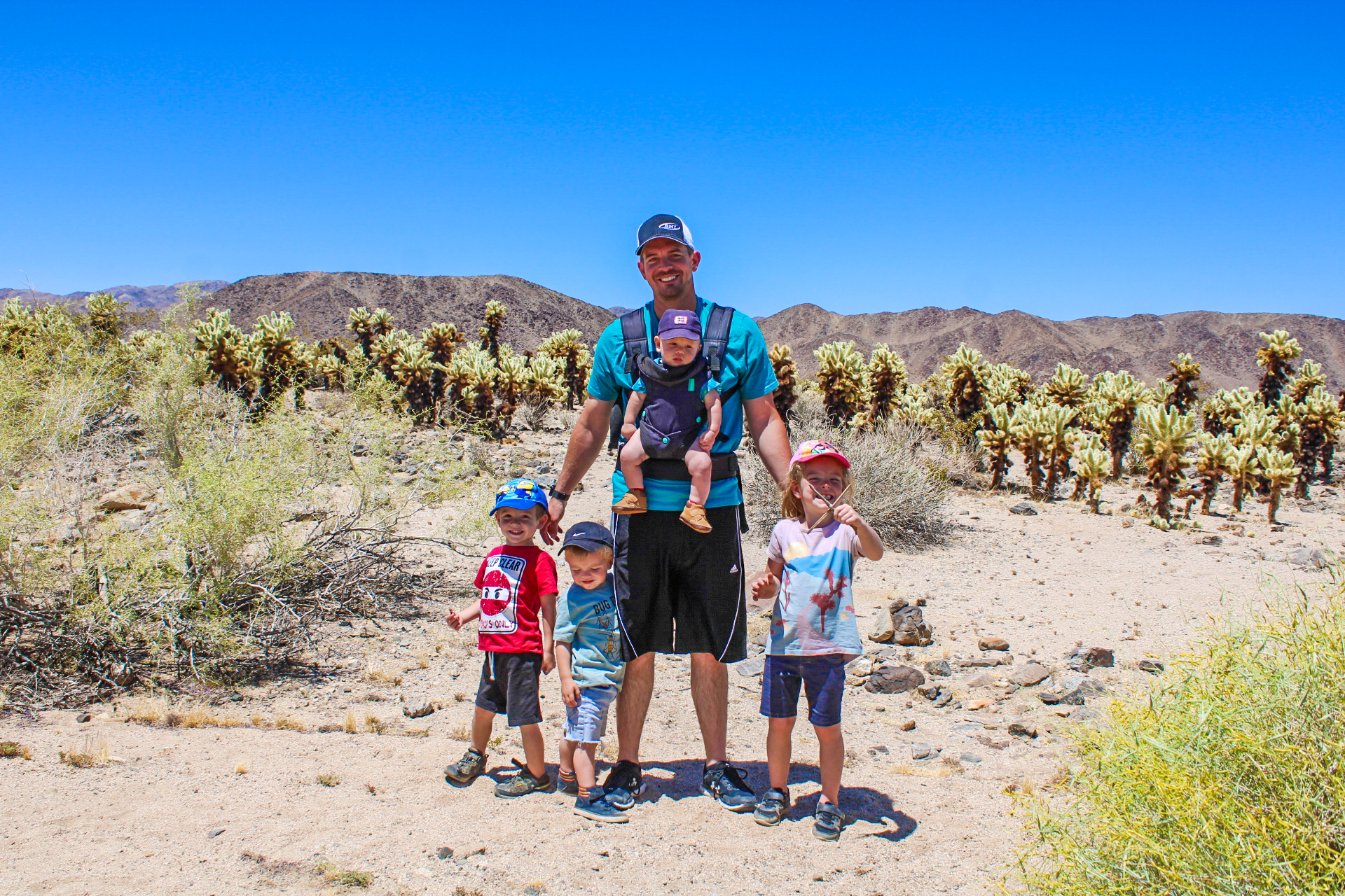 Ultimate Guide to Visiting Saguaro National Park With Kids - Family  Friendly Travel Destinations